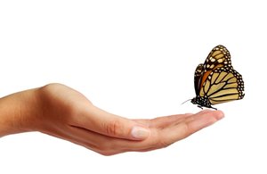 烏蘭察布市玻璃有限責(zé)任公司